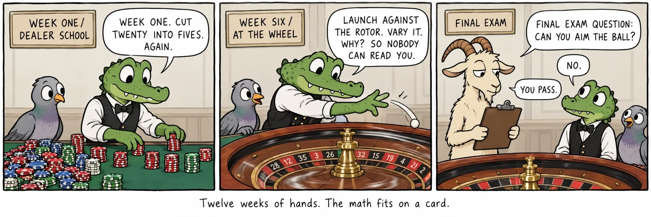 Dvylika savaičių rankoms. Matematika telpa į kortelę.